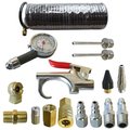 Interstate Pneumatics 16-Piece Air Tool Accessory Kit with Hose C16K